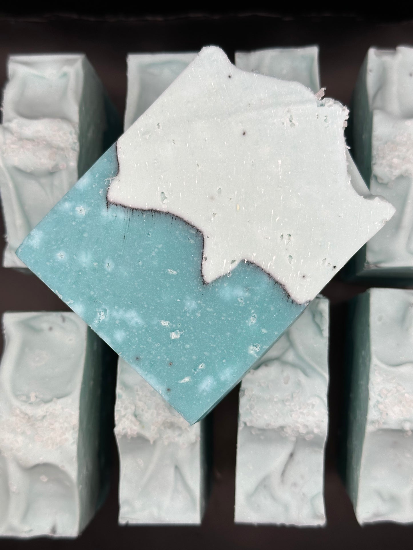Blue Agave + Sea Salt Soap